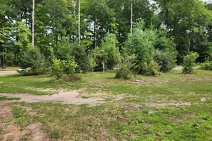 2984 W Pierce Dr, Brohman, MI 49312 - Photo 30