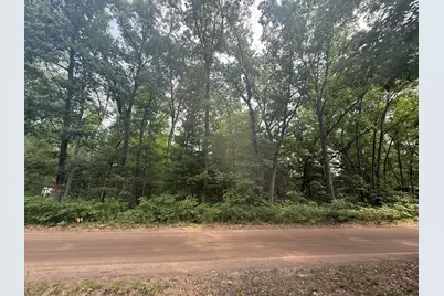 12th Avenue, Bitely, MI 49309 - Photo 4