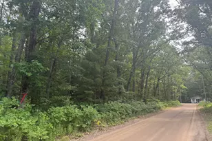 12th Ave, Bitely, MI 49309 - Photo 1