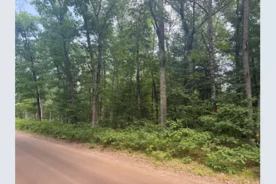 12th Avenue, Bitely, MI 49309 - Photo 2