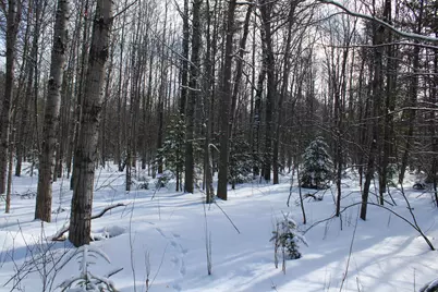 0Vl Grayling Road, Grayling, MI 49738 - Photo 16