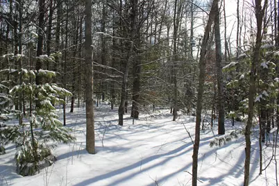 0Vl Grayling Road, Grayling, MI 49738 - Photo 18