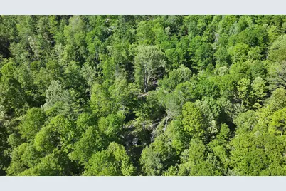4869 E Free Soil Road, Free Soil, MI 49411 - Photo 40