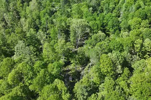 4869 E Free Soil Rd, Free Soil, MI 49411 - Photo 40
