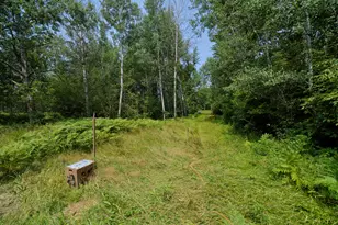 15766 Makinen Rd, Kaleva, MI 49645 - Photo 70