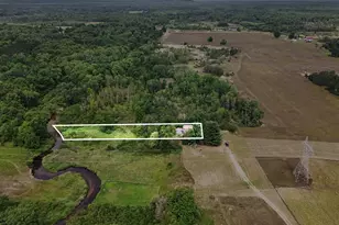 12599 Potter Rd, Bear Lake, MI 49614 - Photo 8
