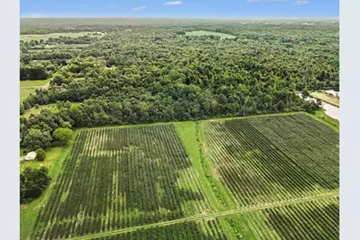 72779 County Road 380, South Haven, MI 49090 - Photo 10