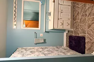 4513 W Mena Creek Xing, White Cloud, MI 49349 - Photo 14
