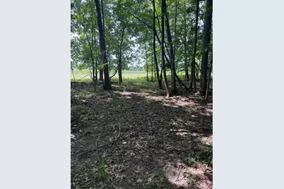 8670 N Baldwin Road, Henderson, MI 48841 - Photo 94