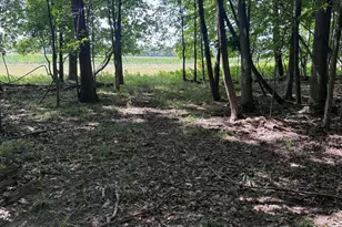 8670 N Baldwin Rd, Henderson, MI 48841 - Photo 94