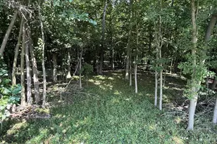 8670 N Baldwin Rd, Henderson, MI 48841 - Photo 74