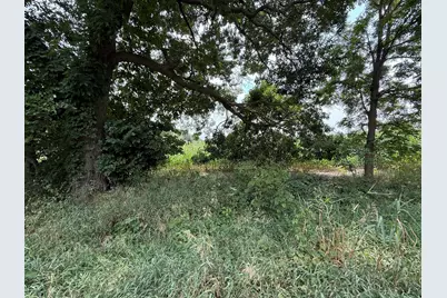 Vl Cobb Road, Delton, MI 49046 - Photo 2