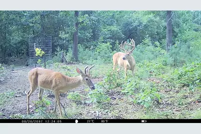 V/L N Westbrook Road, Ionia, MI 48846 - Photo 24
