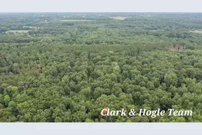V/L N Westbrook Road, Ionia, MI 48846 - Photo 2