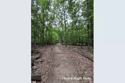 V/L N Westbrook Road, Ionia, MI 48846 - Photo 10