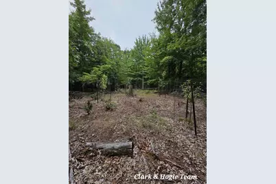 V/L N Westbrook Road, Ionia, MI 48846 - Photo 14