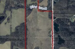 6819 Squawfield Rd, Pittsford, MI 49271 - Photo 58