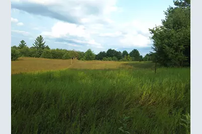 V/L 00 N Lakola Road, Leroy, MI 49655 - Photo 2