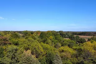 41193 N Park St, Paw Paw, MI 49079 - Photo 58