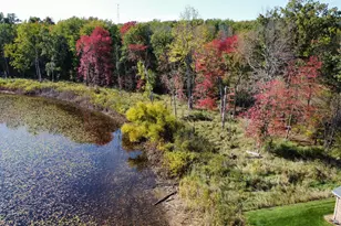 41193 N Park St, Paw Paw, MI 49079 - Photo 60