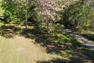 41193 N Park St, Paw Paw, MI 49079 - Photo 64