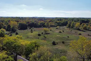 41193 N Park St, Paw Paw, MI 49079 - Photo 62