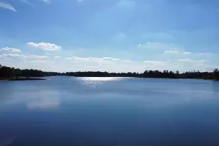 41193 N Park St, Paw Paw, MI 49079 - Photo 70