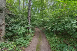 19070 State Line Rd, Edwardsburg, MI 49112 - Photo 8