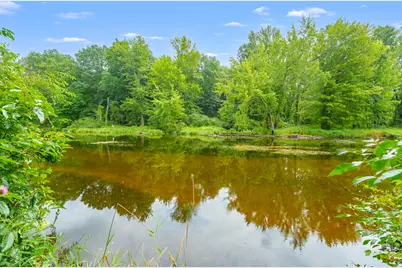 57131 Buckhorn Road, Three Rivers, MI 49093 - Photo 38