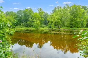 57131 Buckhorn Rd, Three Rivers, MI 49093 - Photo 38