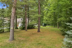 9545 E School Section Lake Dr, Mecosta, MI 49332 - Photo 36