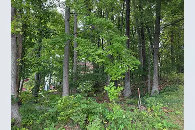 V/L S Deer Point Drive, Newaygo, MI 49337 - Photo 20