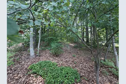 V/L S Deer Point Drive, Newaygo, MI 49337 - Photo 18