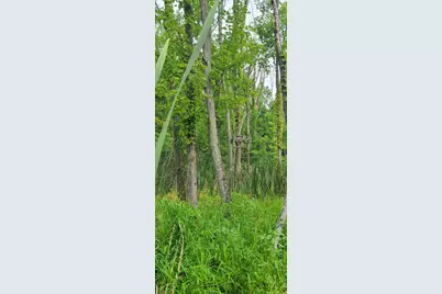45 Acres 108th Ave, Allegan, MI 49010 - Photo 8