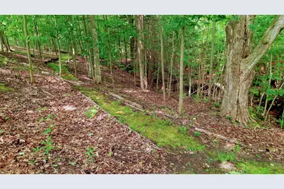 8 Acres, Third Street, Onekama, MI 49675 - Photo 4