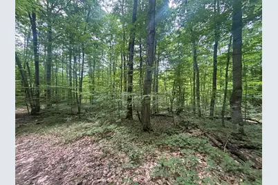 V/L 40A Lambdin Road, East Jordan, MI 49727 - Photo 54