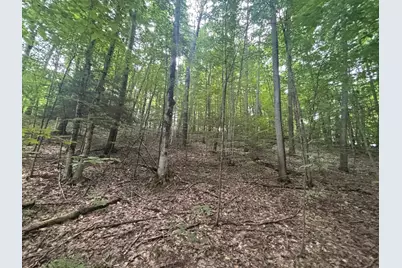 V/L 40A Lambdin Road, East Jordan, MI 49727 - Photo 52