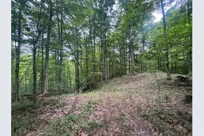 V/L 40A Lambdin Road, East Jordan, MI 49727 - Photo 56