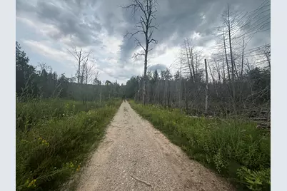 V/L 40A Lambdin Road, East Jordan, MI 49727 - Photo 40