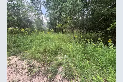 V/L 40A Lambdin Road, East Jordan, MI 49727 - Photo 50