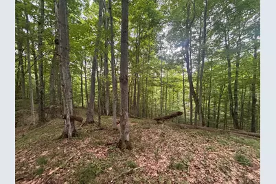 V/L 40A Lambdin Road, East Jordan, MI 49727 - Photo 18