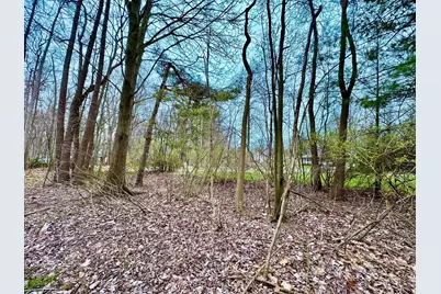 125 W Shore Woods Drive, Douglas, MI 49406 - Photo 2