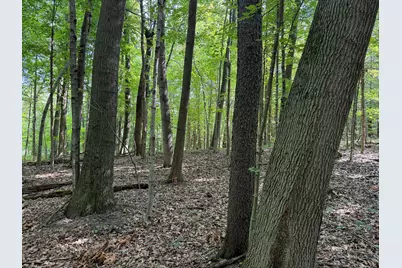 5686 19 Mile Rd Road NE, Cedar Springs, MI 49319 - Photo 6