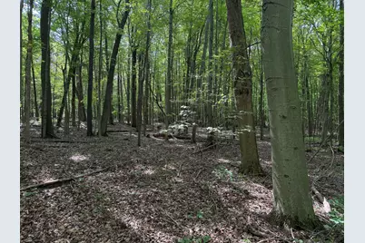 5686 19 Mile Rd Road NE, Cedar Springs, MI 49319 - Photo 8
