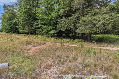 Lot 4 Pine Street, Mears, MI 49436 - Photo 16