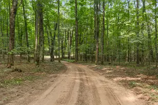 19707 9 Mile Rd, Copemish, MI 49625 - Photo 50