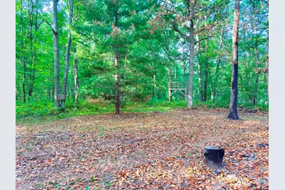 2679 S State, Chase, MI 49623 - Photo 2
