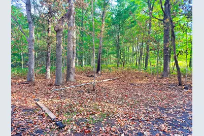 2679 S State, Chase, MI 49623 - Photo 4