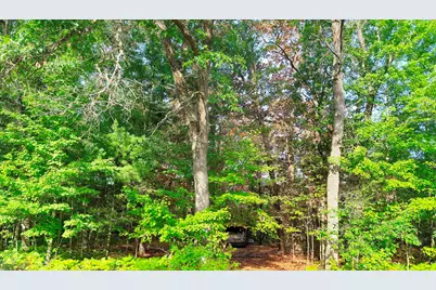 2679 S State, Chase, MI 49623 - Photo 1