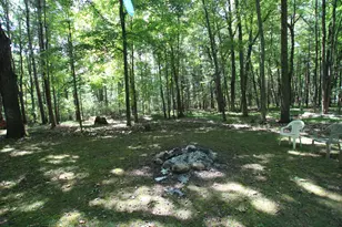19291 Ottawa Ln, Big Rapids, MI 49307 - Photo 36